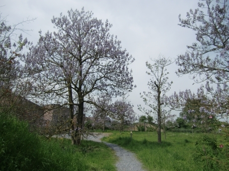 Raketenstation Hombroich : Museumsgelände im Frühjahr